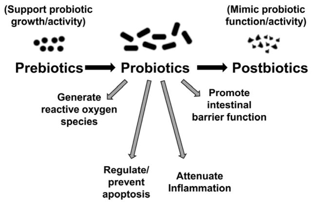 Pre-, pro- and postbiotics