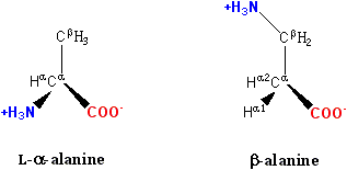 Sports nutrition powder and lab equipment illustrating beta-alanine research for formulators