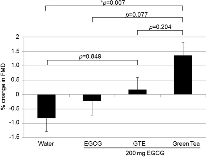 Illustration: Does Green Tea Extract (EGCG) Deliver? A Clinical Evidence Review for Supplement Professionals