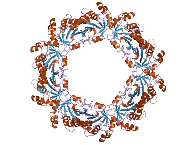 Cartoon representation of the molecular structure of protein registered with 1qmv code.