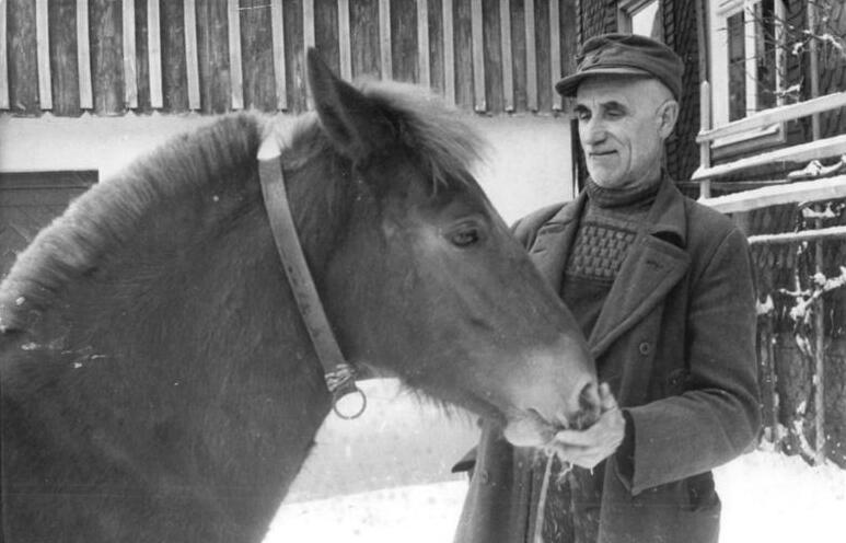 For documentary purposes the German Federal Archive often retained the original image captions , which may be erroneous, biased, obsolete or politically extreme . Hirschendorf, Ein